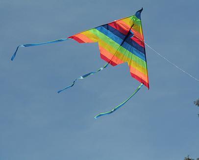 Images Of Kites Flying. The Physics Of Kite Flying