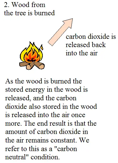 biomass energy figure 2