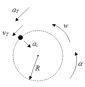 circular motion of a particle