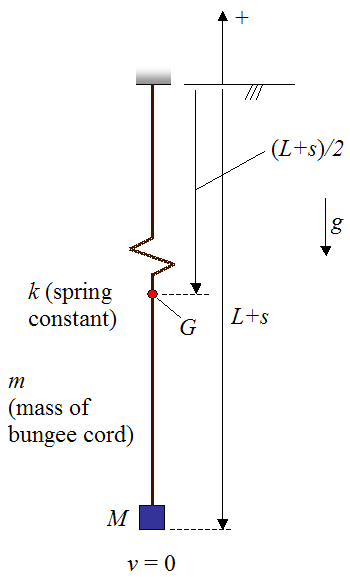 schematic to find maximum falling distance of bungee jumper using conservation of energy