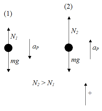 free body diagram of ferris wheel