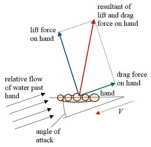 swimming hand forces