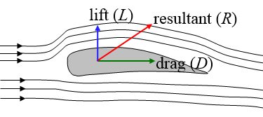 swimming hand as wing