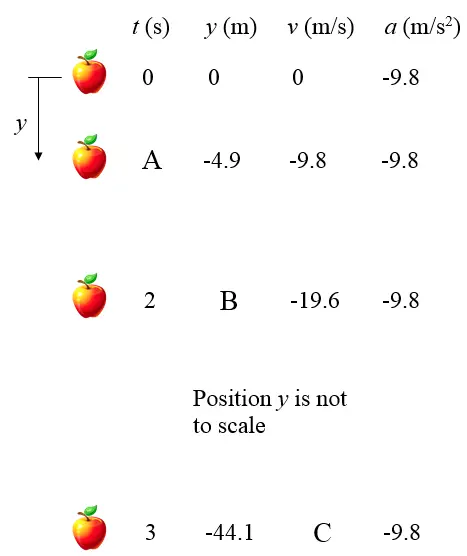 free fall problem figure 1