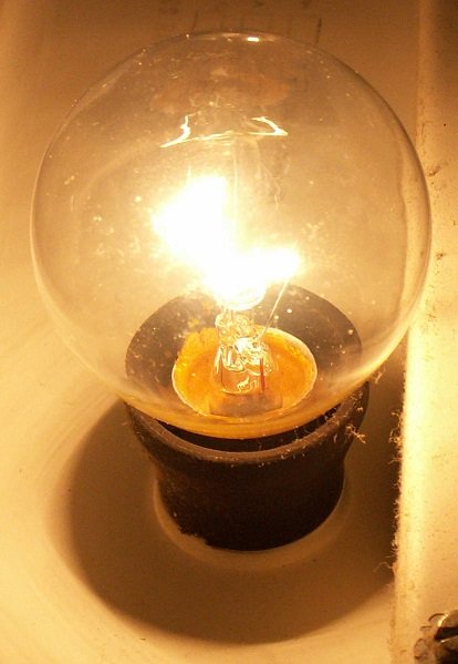 incandescent light bulb