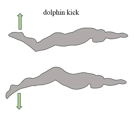 swimming dolphin kick