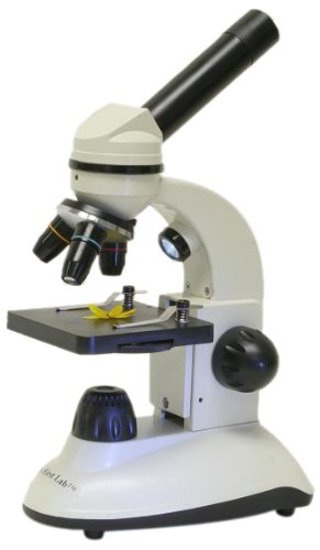 picture of a toy microscope